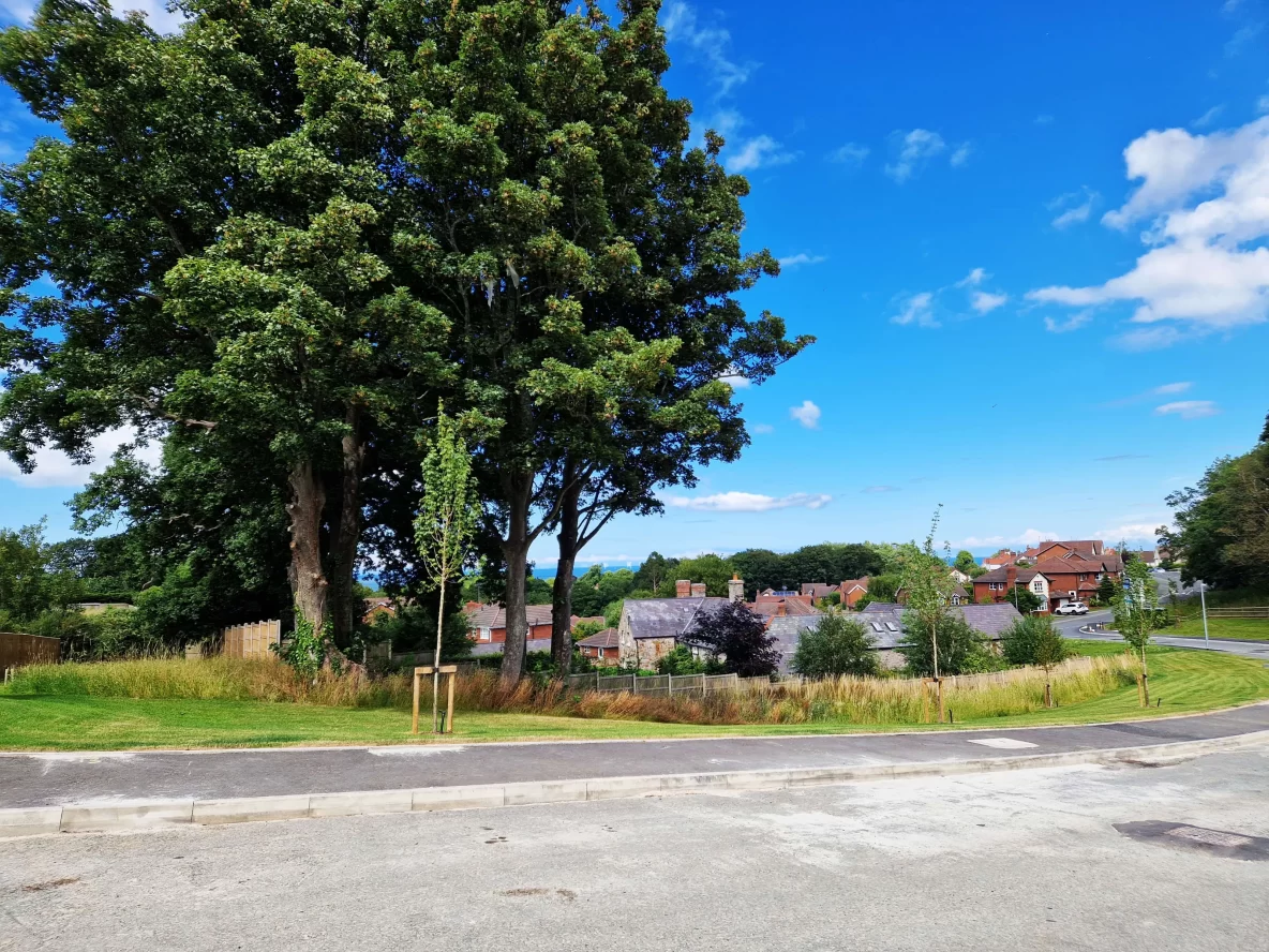 glyn-farm-anwyl-homes-ascerta-complete-tree-survey-completed-project