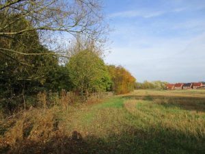 Boundary trees & hedges can cause significant constraints to layout design